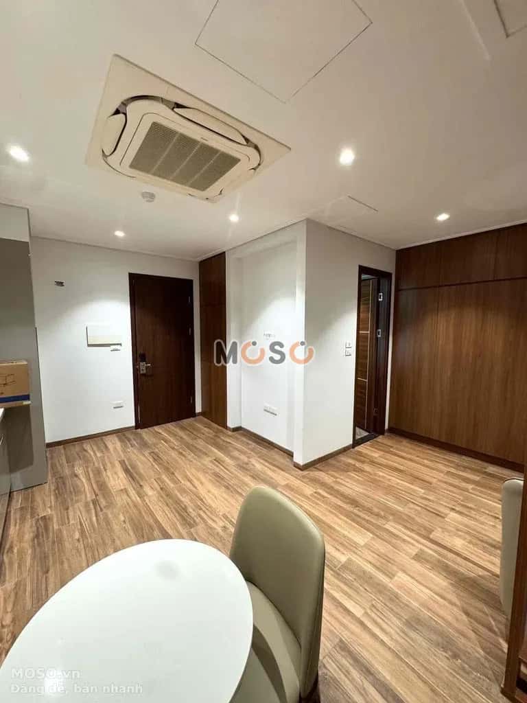 Cho thuê căn hộ chung cư Nam Kỳ Khởi Nghĩa Quận 1, TP.HCM – 1 phòng ngủ, giá 9 triệu - ảnh 9