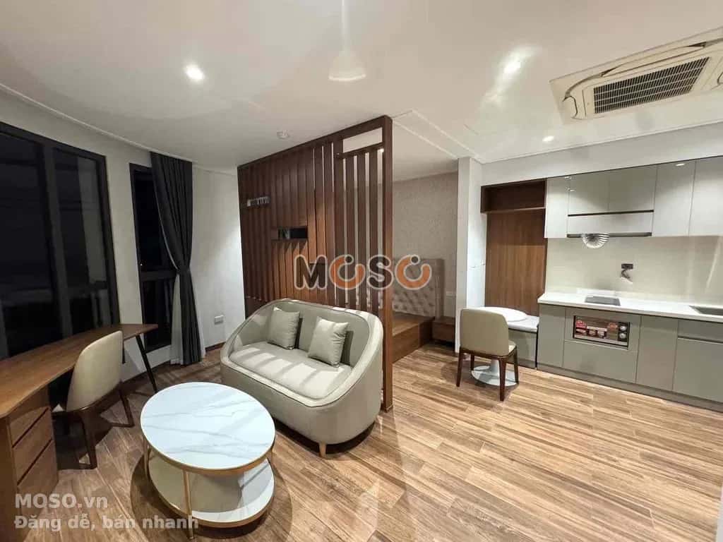 Cho thuê căn hộ chung cư Nam Kỳ Khởi Nghĩa Quận 1, TP.HCM – 1 phòng ngủ, giá 9 triệu - ảnh 7