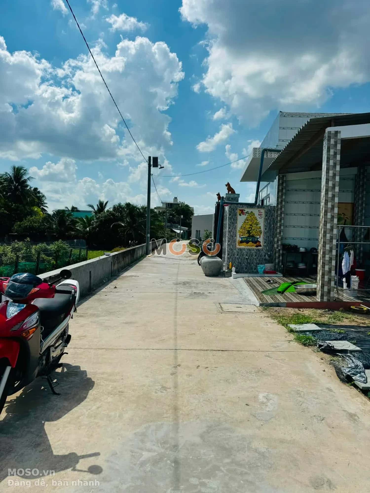 Bán đất Ấp 3 Huyện Thủ Thừa, Long An – giá 850 triệu - ảnh 3