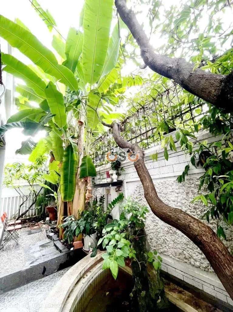 Cho thuê nhà hẻm Nguyễn Cảnh Dị Tân Bình, TP.HCM – 5 phòng ngủ, giá 65 triệu - ảnh 3