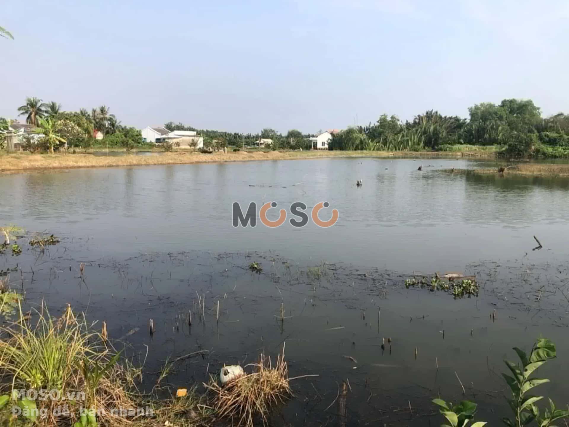 Bán đất hẻm đường HL24 Huyện Cần Đước, Long An – giá 1.4 tỷ - ảnh 2