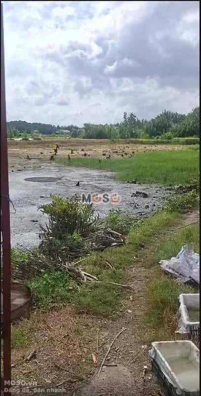 Bán đất hẻm đường HL24 Huyện Cần Đước, Long An – giá 1.4 tỷ - ảnh 1