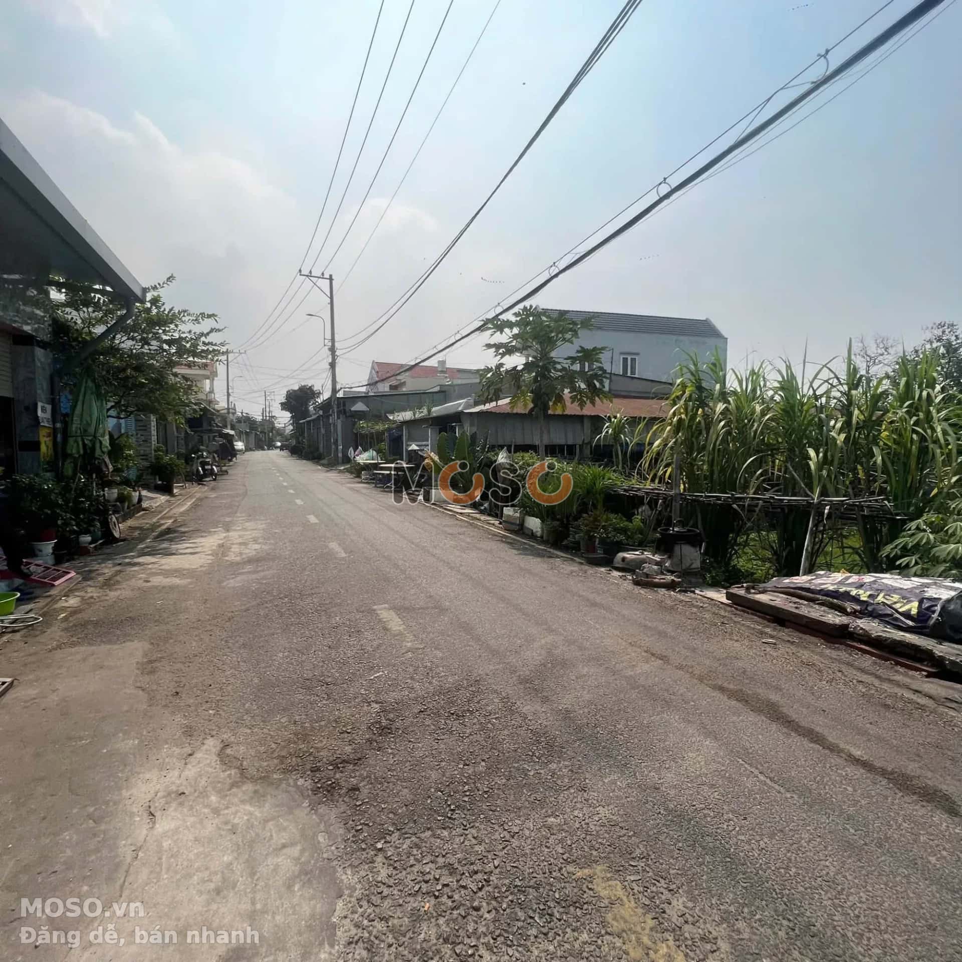 Bán đất Trung Đông 8 Huyện Hóc Môn, TP.HCM – giá 44.5 tỷ - ảnh 3