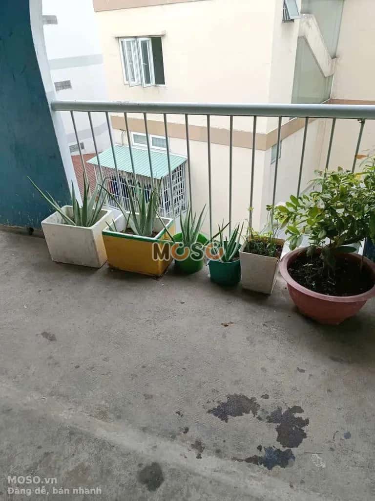 Cho thuê nhà hẻm Đường Hưng Phú Quận 8, TP.HCM – 2 phòng ngủ, giá 5.5 triệu - ảnh 8