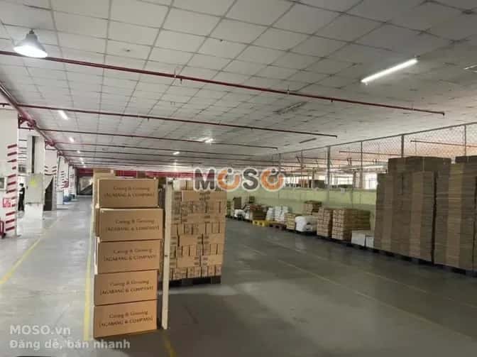 Cho thuê kho, nhà xưởng Đường Số 14 Thủ Đức, TP.HCM – giá 291 triệu - ảnh 5
