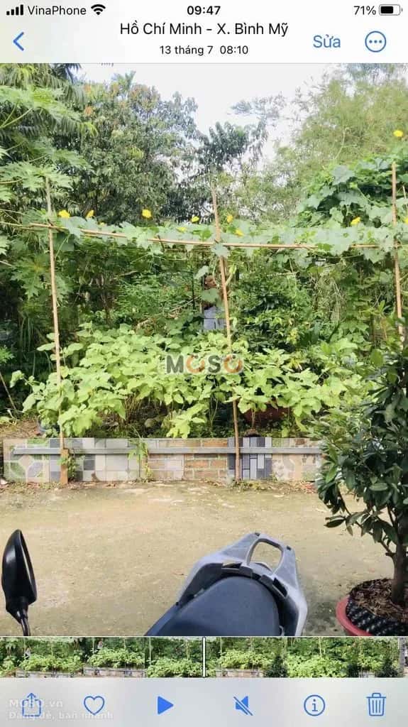 Cho thuê nhà hẻm Hà Duy Phiên Huyện Củ Chi, TP.HCM – 1 phòng ngủ, giá 3.5 triệu - ảnh 6