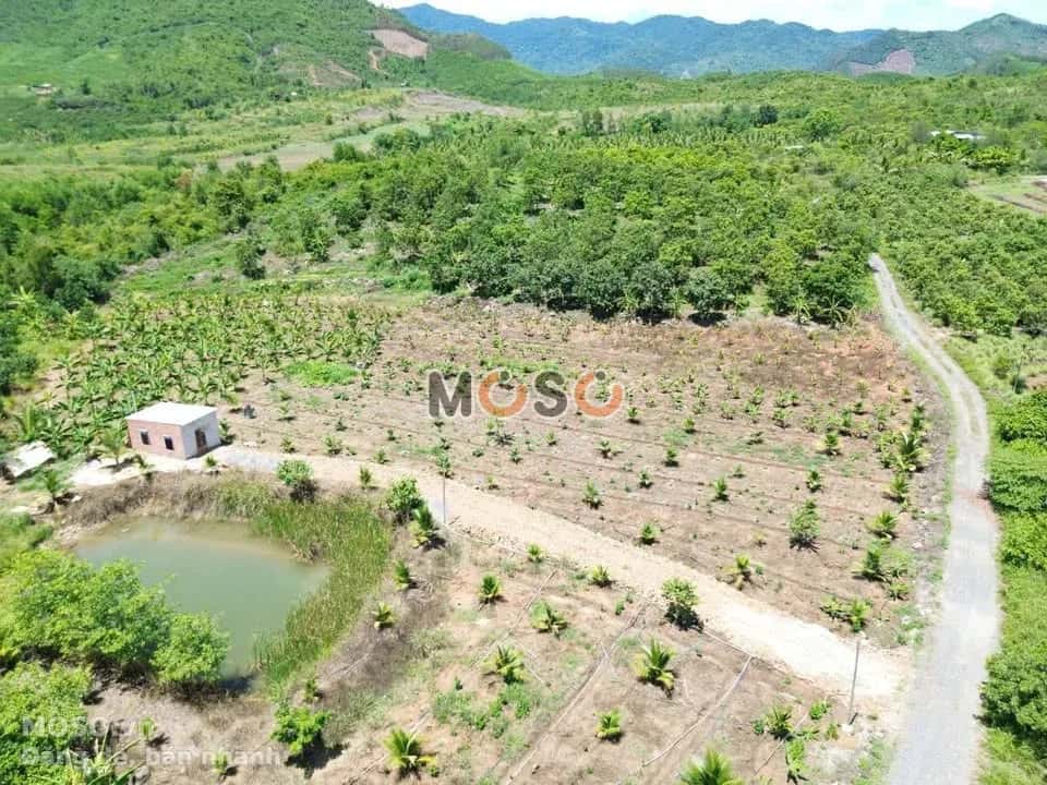 Bán đất thôn Cẩm Sơn Huyện Diên Khánh, Khánh Hòa – giá 490 triệu - ảnh 1