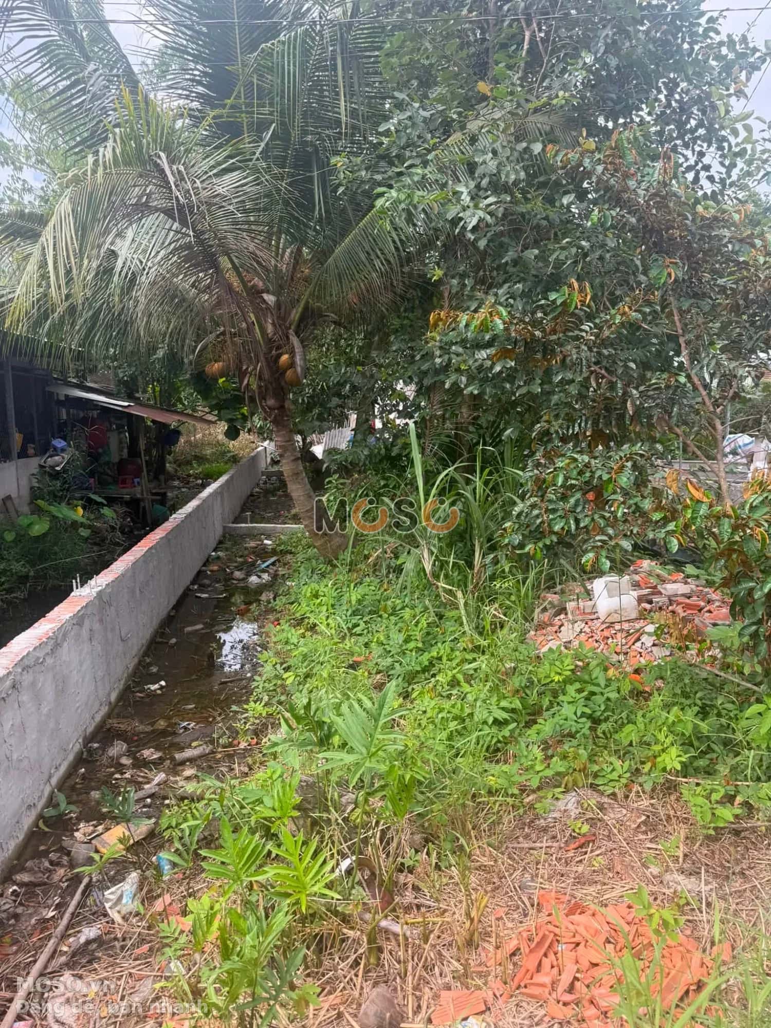 Bán đất Rạch Trà Niền Lớn Huyện Phong Điền, TP. Cần Thơ – giá 690 triệu - ảnh 1