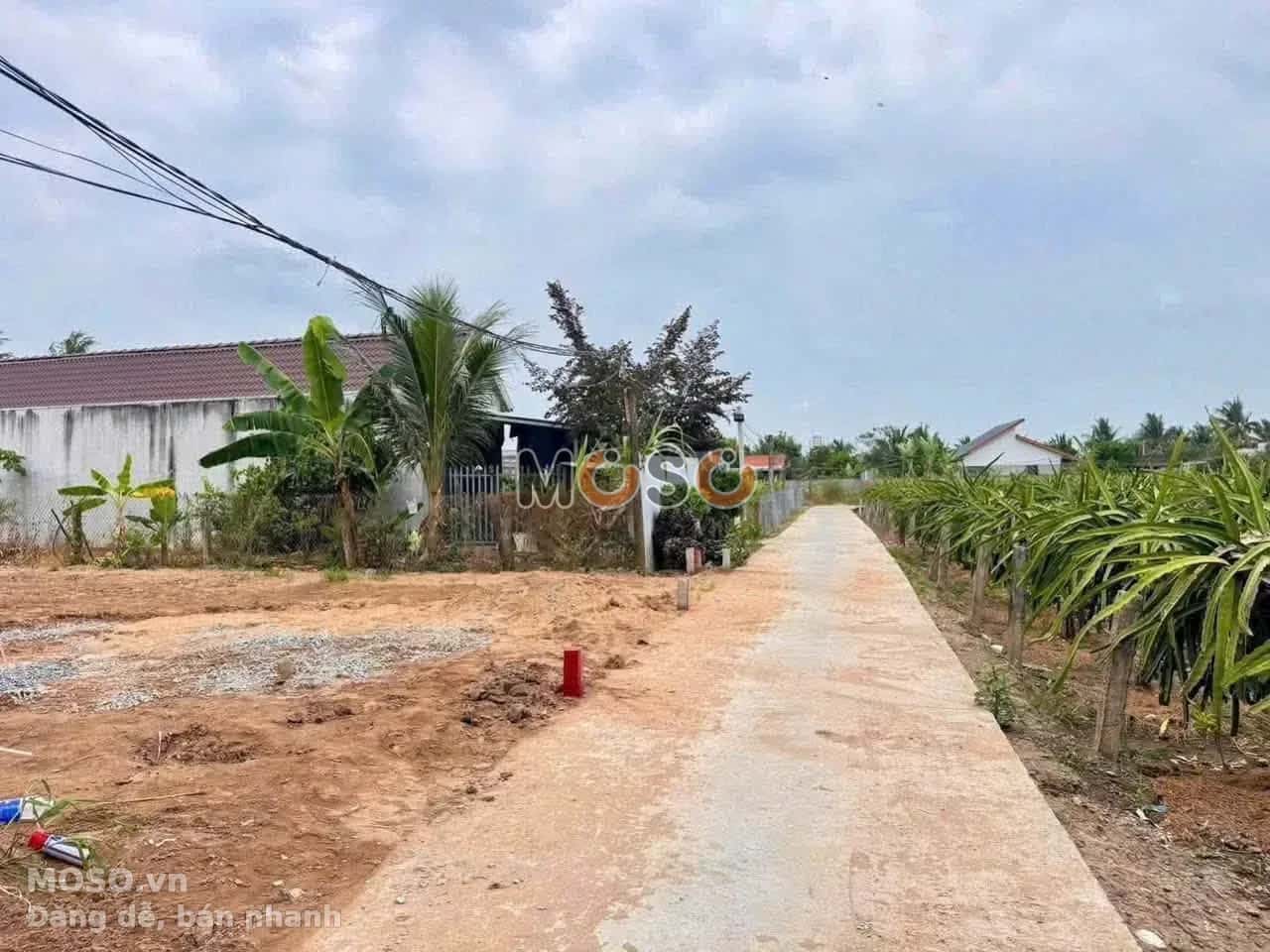 Bán đất Hẻm Châu Thị Kim Thành phố Tân An, Long An – giá 520 triệu - ảnh 2