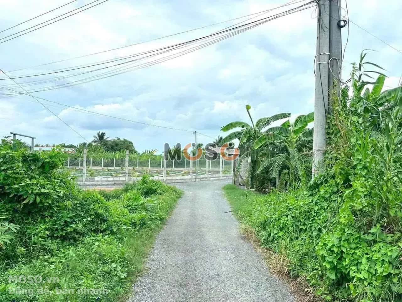Bán đất Ấp 3 Huyện Thủ Thừa, Long An – giá 790 triệu - ảnh 2