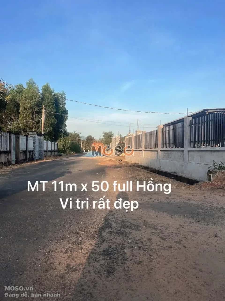 Bán đất đường số 8 Huyện Xuyên Mộc, BRVT – giá 1.3 tỷ - ảnh 4