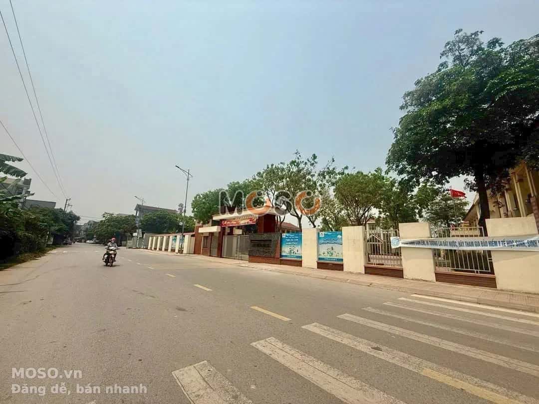 Bán đất TL 306 Huyện Tam Dương, Vĩnh Phúc – giá 3.5 tỷ - ảnh 3