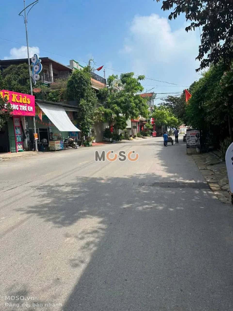 Bán đất TL 306 Huyện Tam Dương, Vĩnh Phúc – giá 3.5 tỷ - ảnh 2