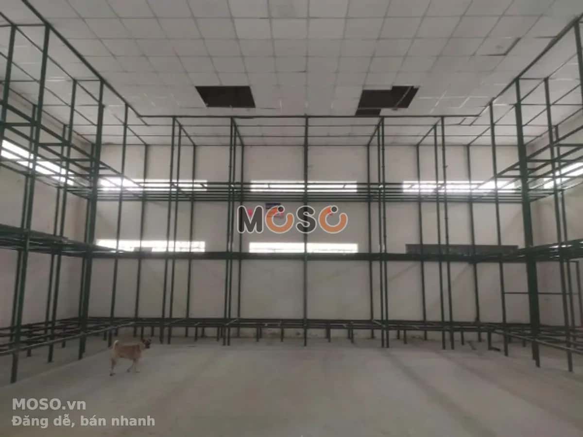 Cho thuê kho, nhà xưởng Trường Sơn Quận 10, TP.HCM – giá 50 triệu - ảnh 2