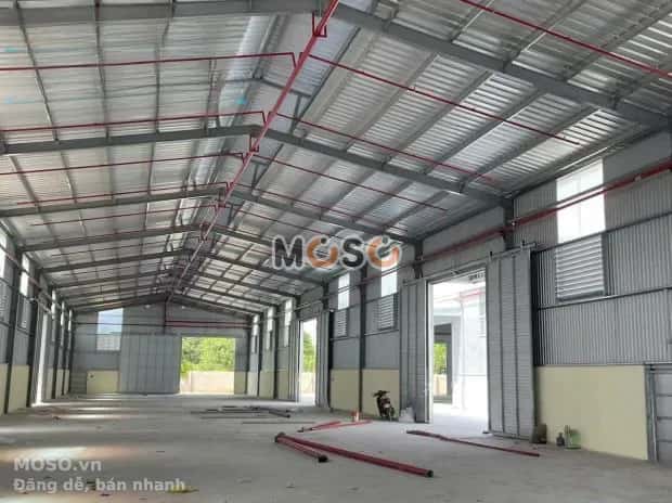 Cho thuê kho, nhà xưởng Nguyễn Văn Thành Bến Cát, Bình Dương – giá 180 triệu - ảnh 3