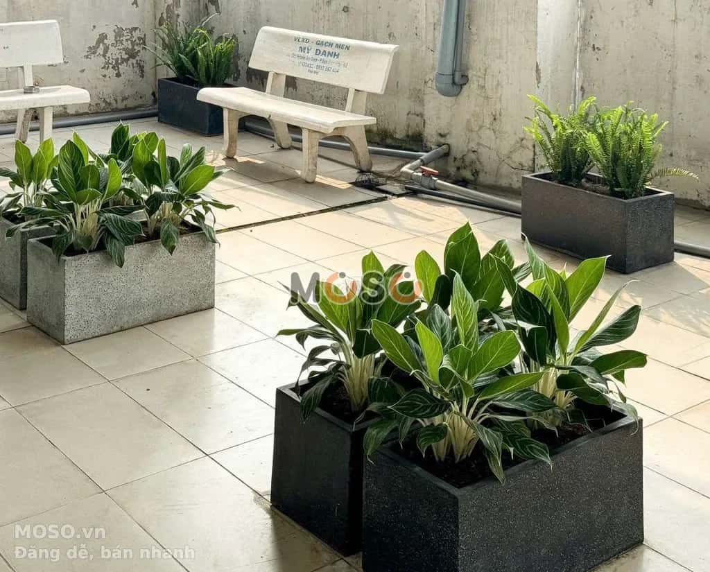 Cho thuê phòng trọ Đường Số 7 Quận 2 cũ, TP.HCM – giá 3.8 triệu - ảnh 11