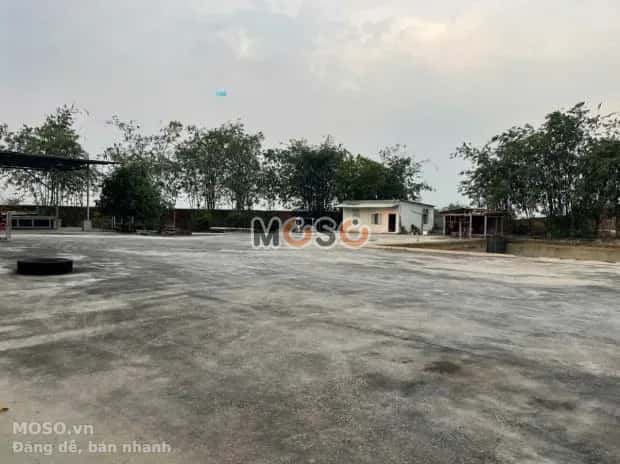 Cho thuê kho, nhà xưởng Đường 748 Bến Cát, TP.HCM – giá 130 triệu - ảnh 1