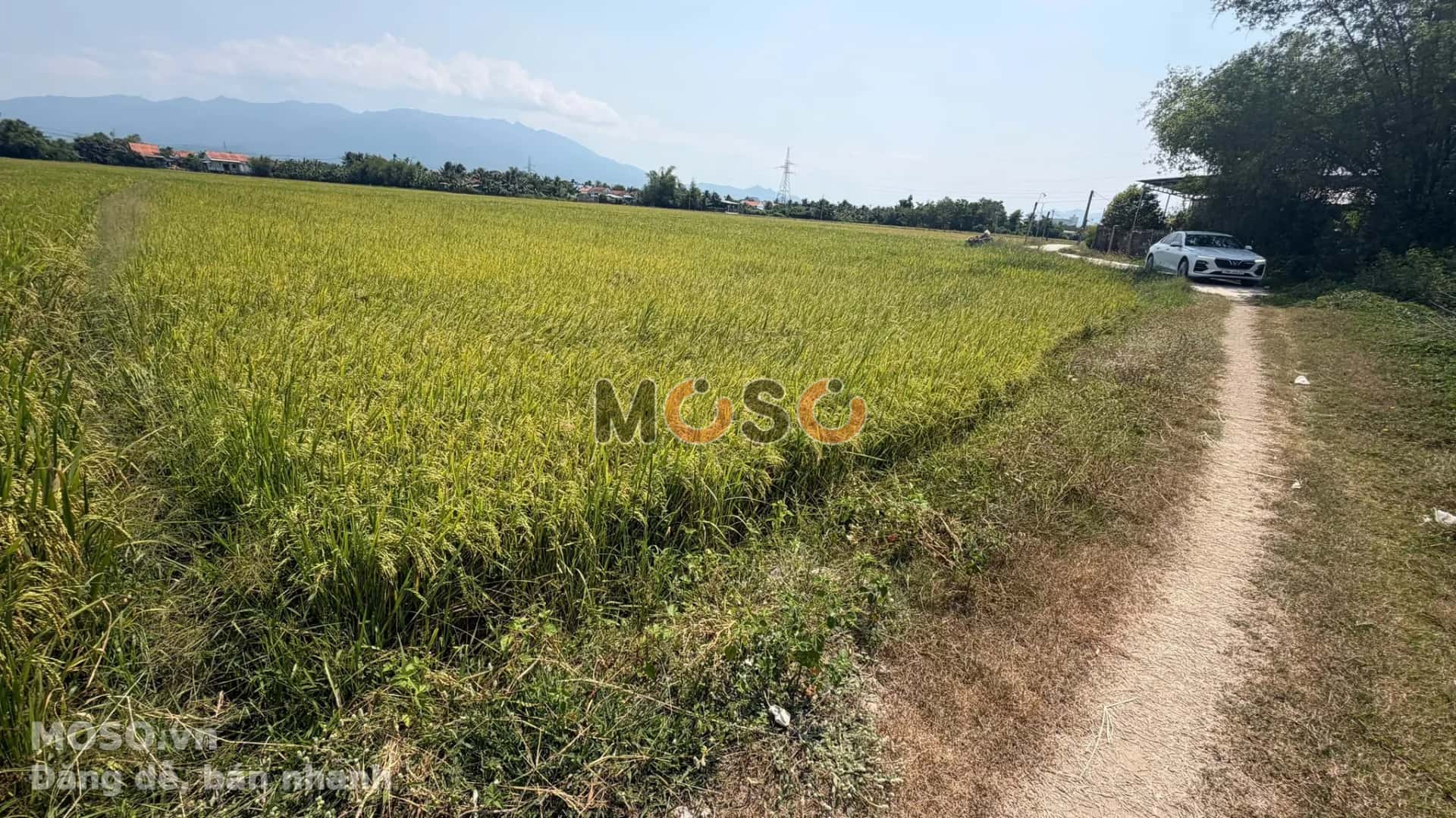Bán đất Quốc Lộ 26 Thị xã Ninh Hòa, Khánh Hòa – giá 8.6 tỷ - ảnh 2