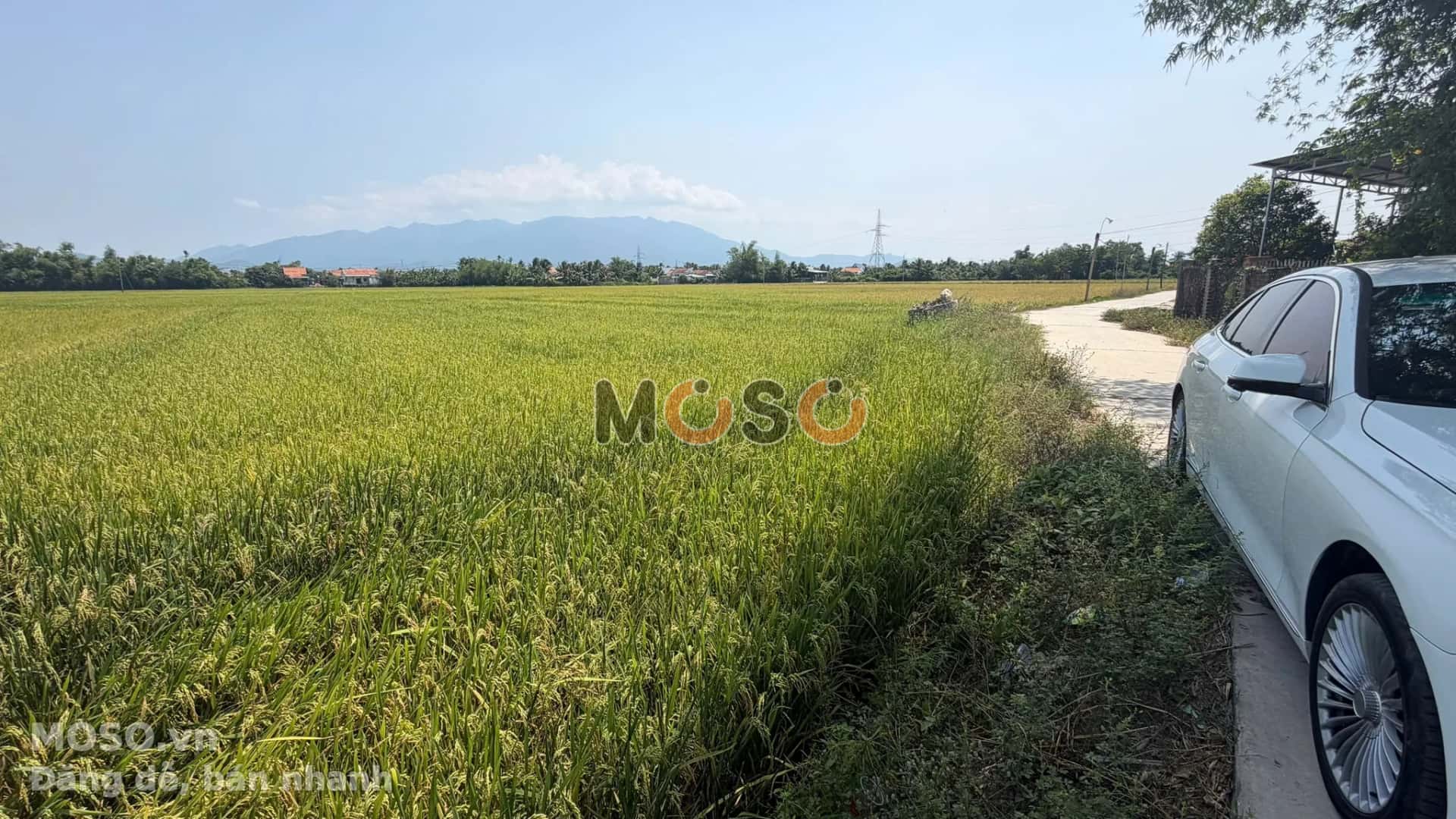 Bán đất Quốc Lộ 26 Thị xã Ninh Hòa, Khánh Hòa – giá 8.6 tỷ - ảnh 3