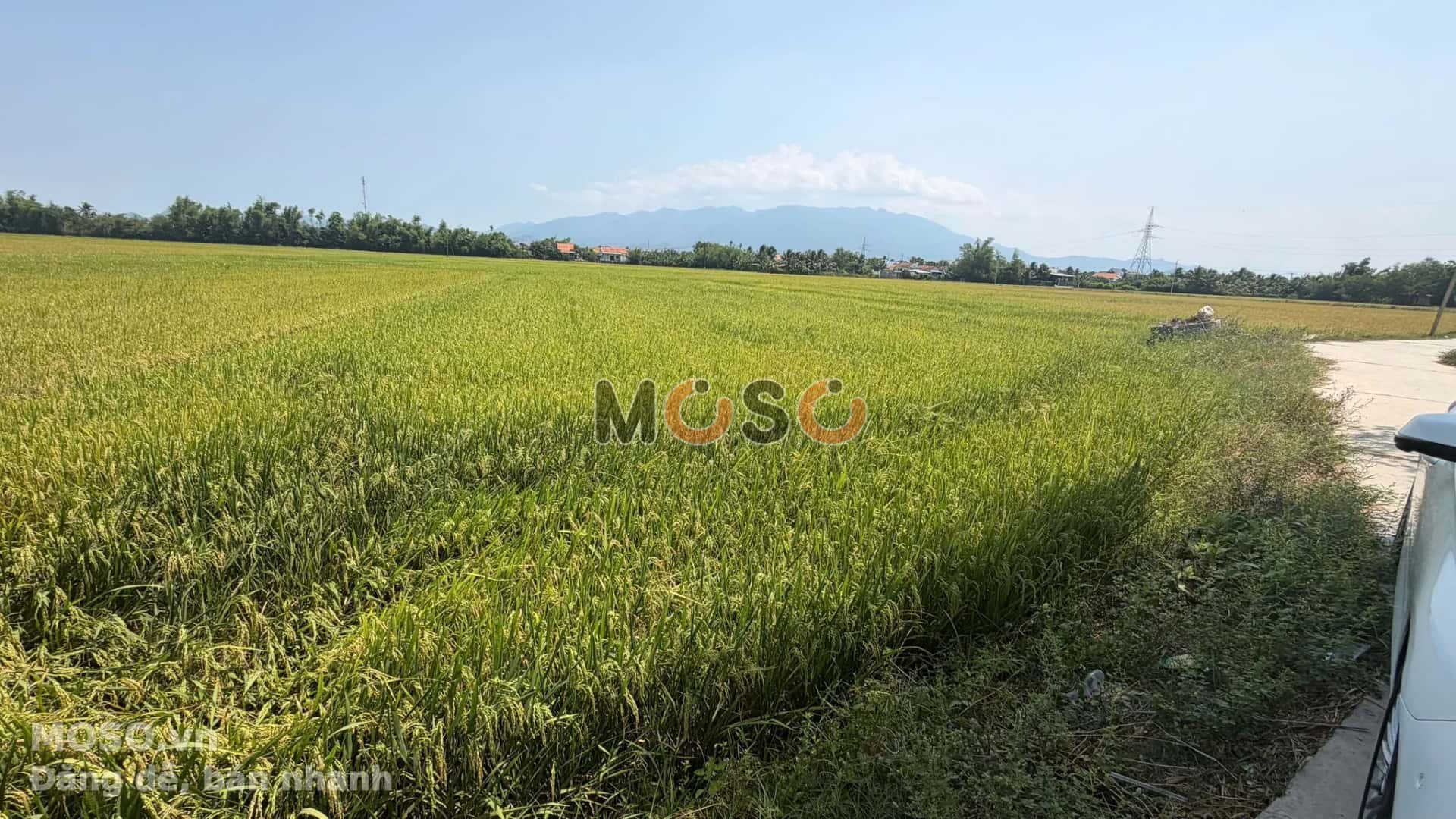 Bán đất Quốc Lộ 26 Thị xã Ninh Hòa, Khánh Hòa – giá 8.6 tỷ - ảnh 4