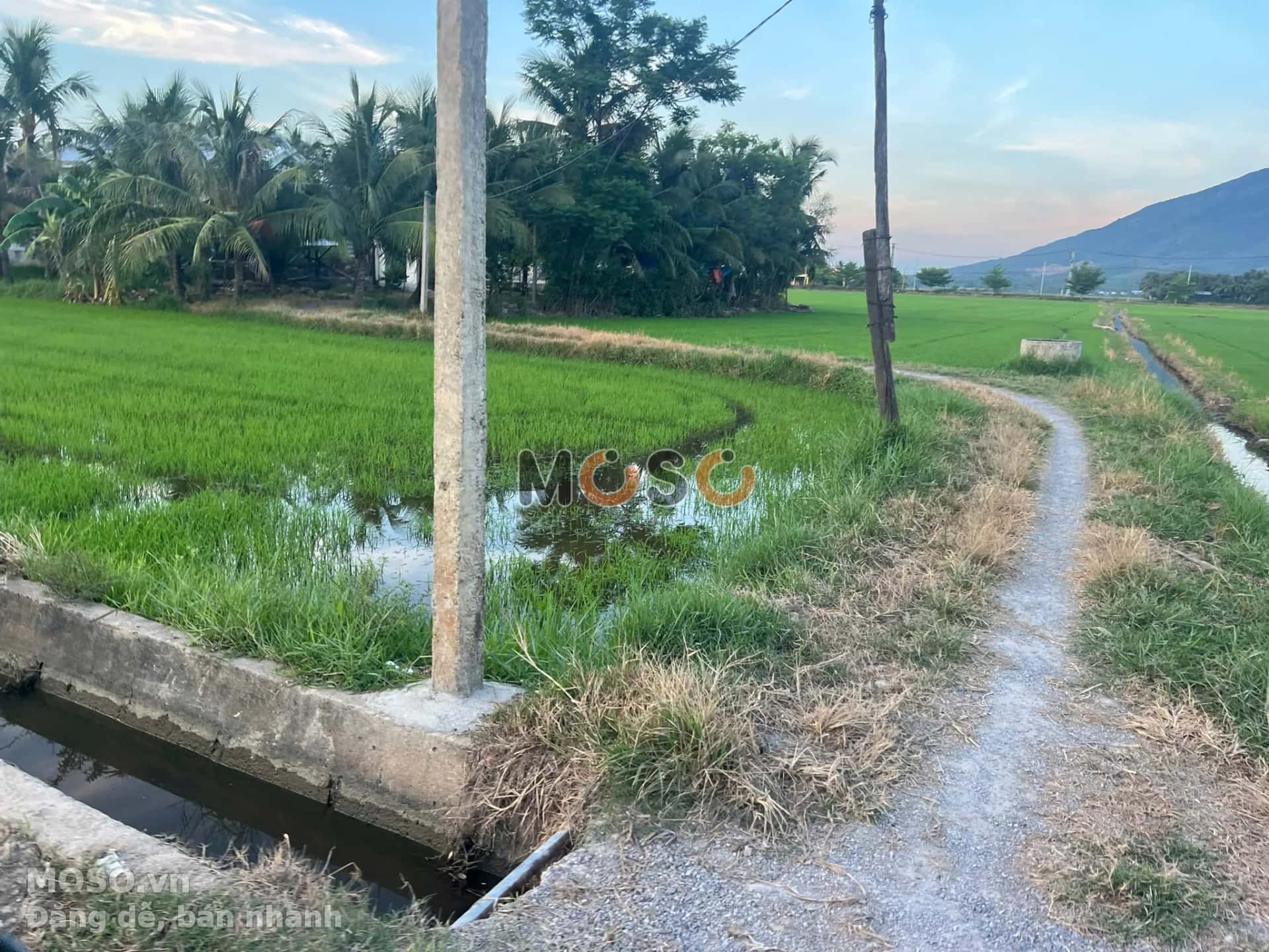 Bán đất Trần Quý Cáp Thị xã Ninh Hòa, Khánh Hòa – giá 10.8 tỷ - ảnh 4