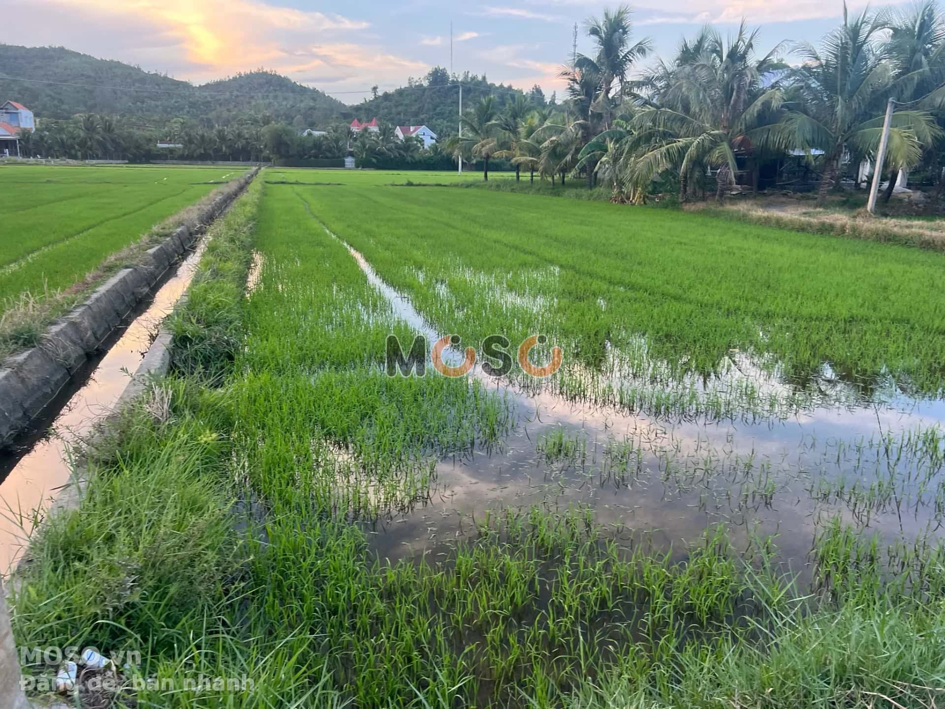 Bán đất Trần Quý Cáp Thị xã Ninh Hòa, Khánh Hòa – giá 10.8 tỷ - ảnh 1
