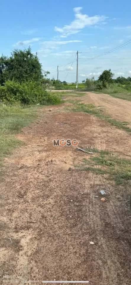 Bán đất Thôn Phú Hòa  Huyện Hàm Thuận Bắc, Bình Thuận – giá 340 triệu - ảnh 3