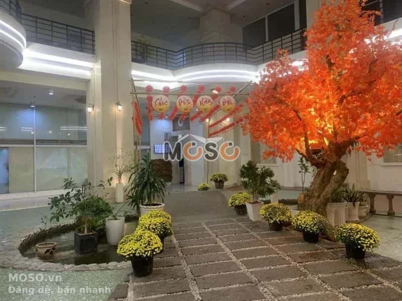 Cho thuê căn hộ chung cư Lý Thường Kiệt Quận 11, TP.HCM – 2 phòng ngủ, giá 12 triệu - ảnh 1