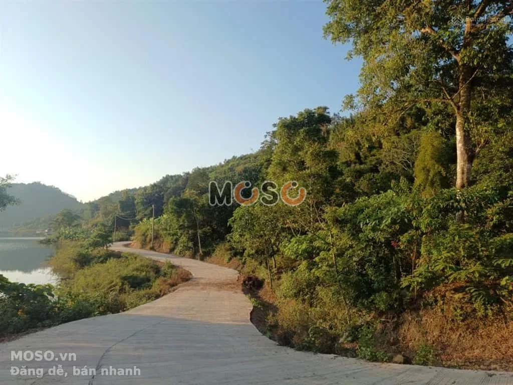 Bán đất Tan Lac, Phu Tho – giá 24.9 tỷ - ảnh 2