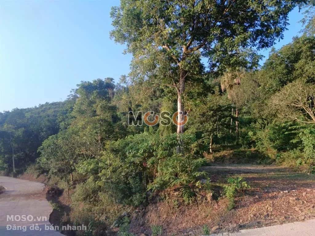 Bán đất Tan Lac, Phu Tho – giá 24.9 tỷ - ảnh 3