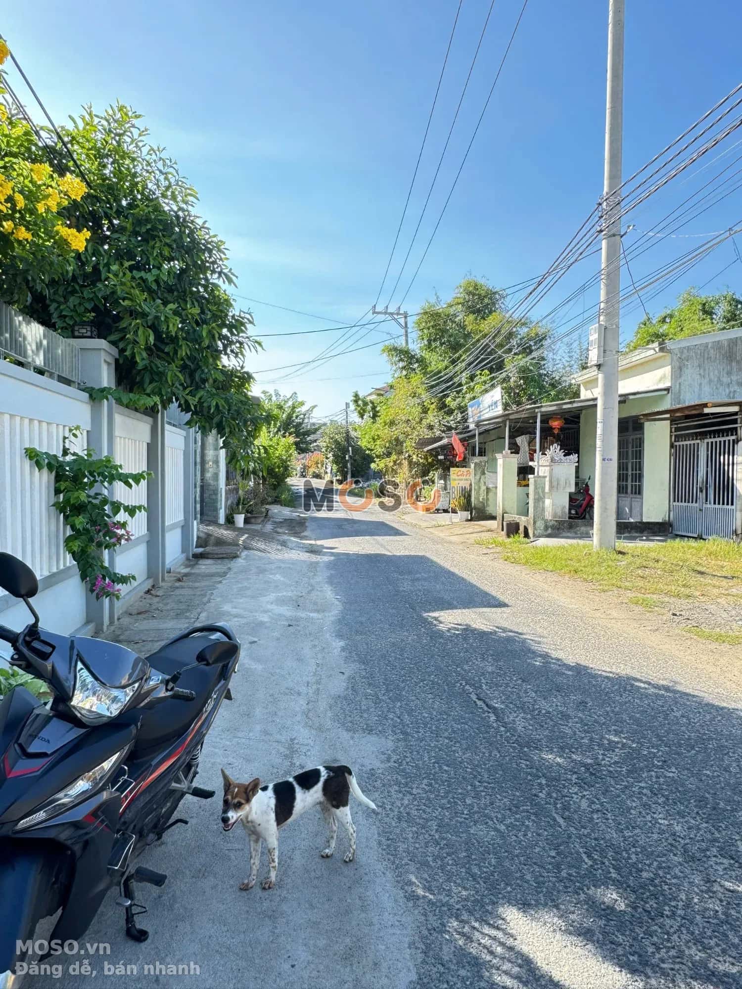 Bán đất Thôn Giáng Đông Huyện Hòa Vang, TP. Đà Nẵng – giá 2.7 tỷ - ảnh 2