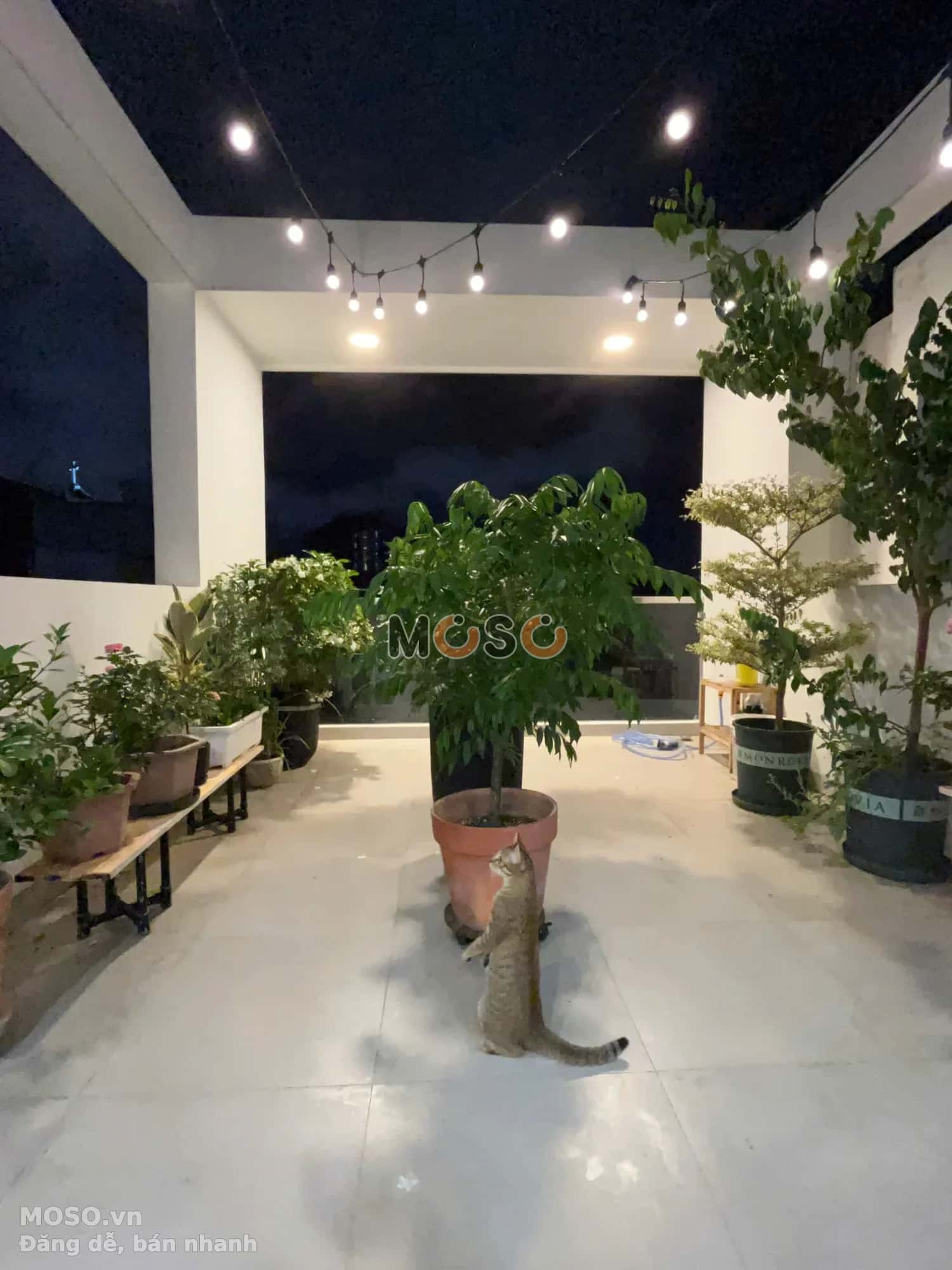Cho thuê nhà hẻm  Đặng Văn Ngữ Quận Phú Nhuận, TP.HCM – 1 phòng ngủ, giá 36 triệu - ảnh 12
