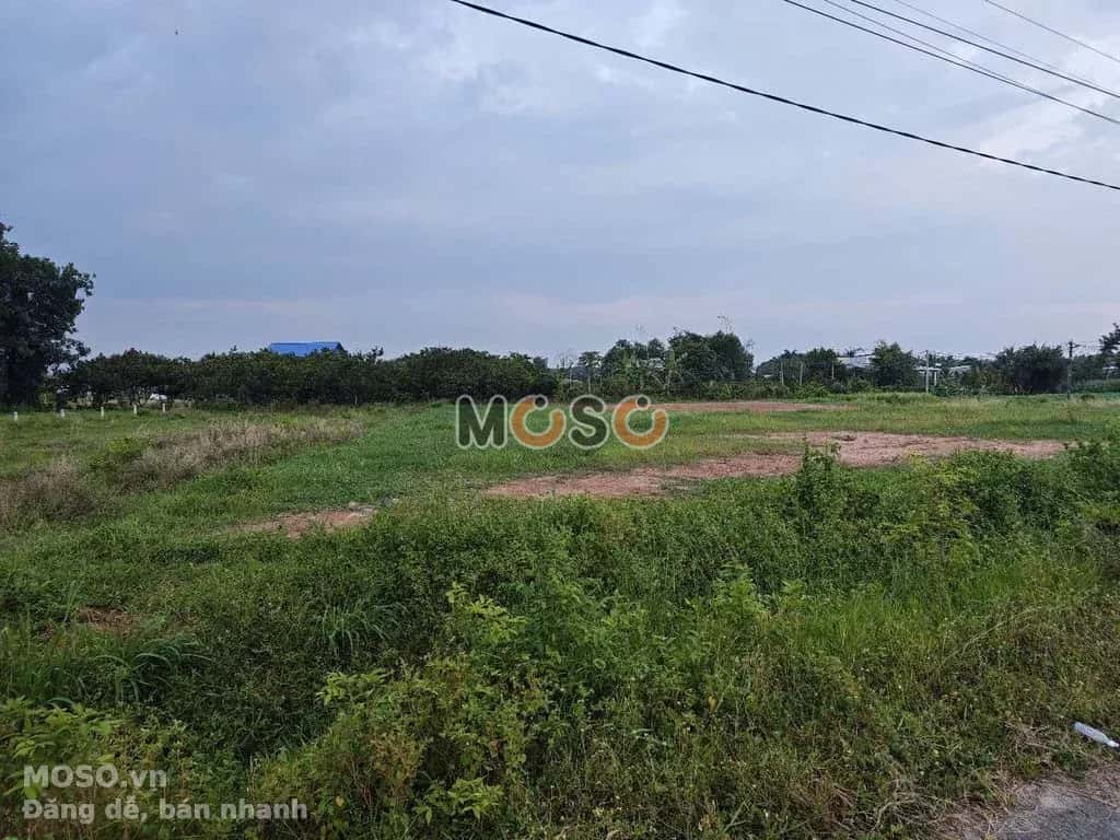 Bán đất Bàu Công  Huyện Đức Hòa, Long An – giá 18.2 tỷ - ảnh 1