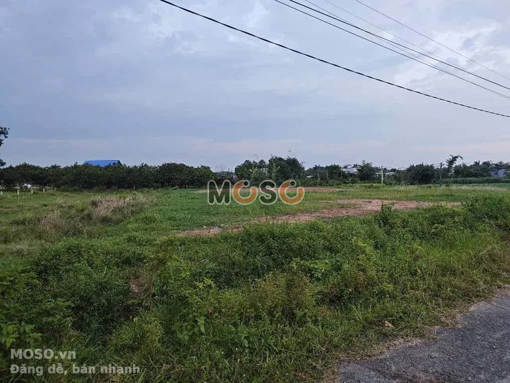 Bán đất Bàu Công  Huyện Đức Hòa, Long An – giá 18.2 tỷ - ảnh 2