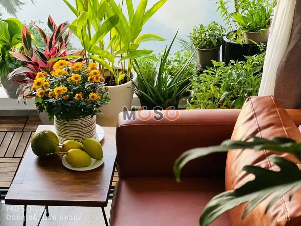 Cho thuê căn hộ chung cư Nguyễn Thị Định Thành phố Thủ Đức, TP.HCM – giá 14 triệu - ảnh 5