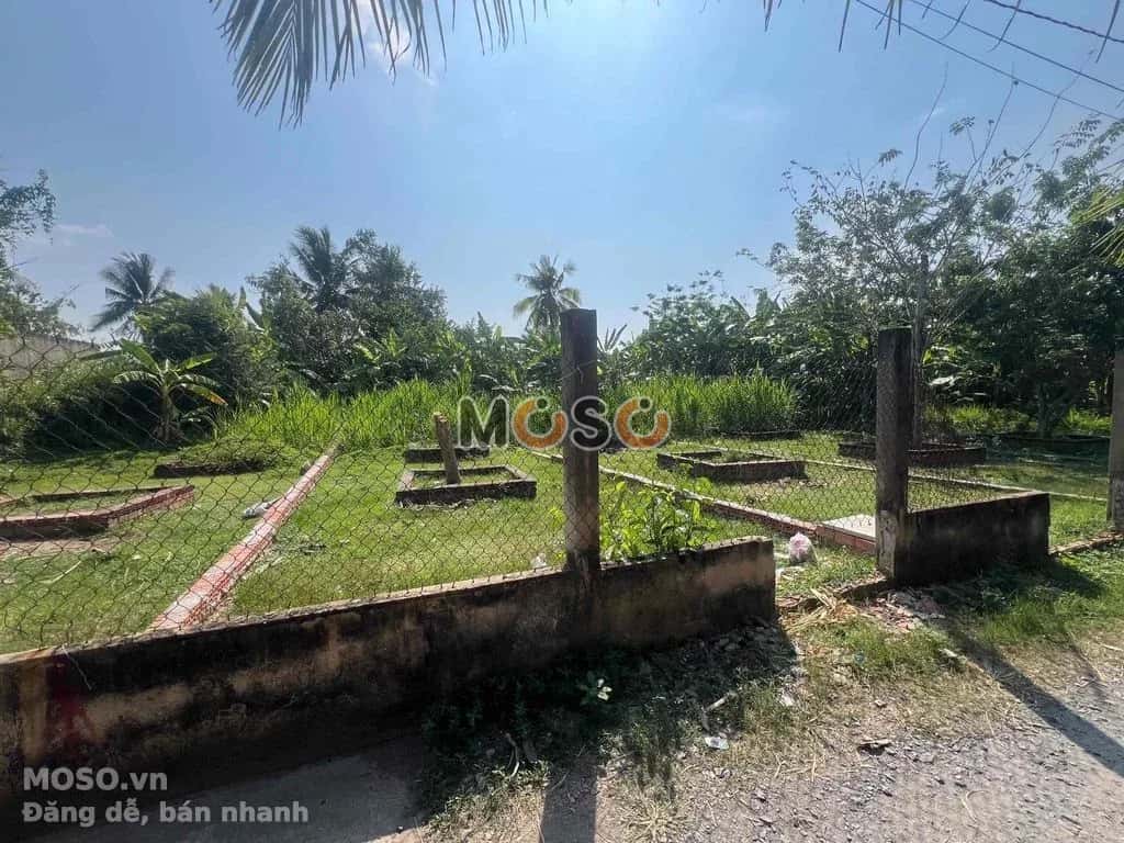 Bán đất đường T12 Huyện Bình Chánh, TP.HCM – giá 2 tỷ - ảnh 2