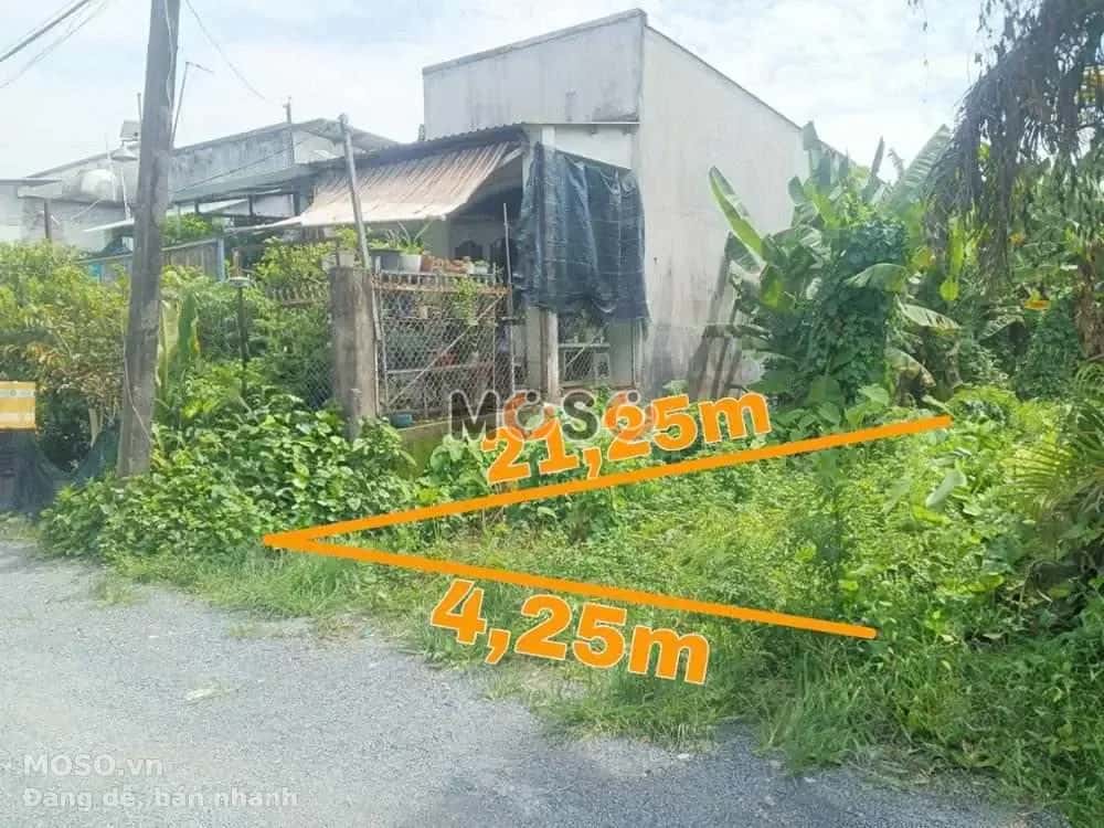 Bán đất Nguyễn Xiển Thành phố Thủ Đức, TP.HCM – giá 3.2 tỷ - ảnh 1