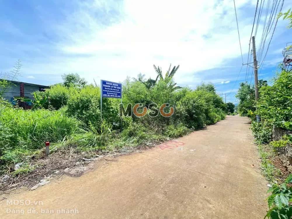 Bán đất Đường Sông Thao - Bàu Hàm Huyện Trảng Bom, Đồng Nai – giá 753 triệu - ảnh 4
