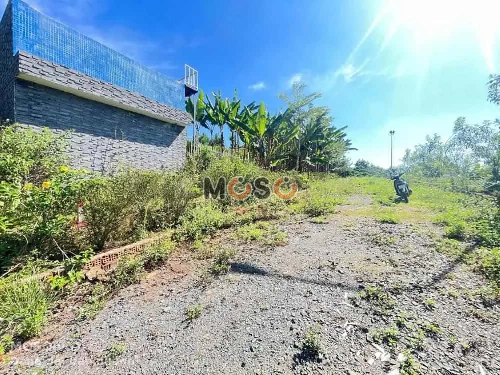 Bán đất Đức Giang 1 Huyện Bảo Lâm, Lâm Đồng – giá 661 triệu - ảnh 3