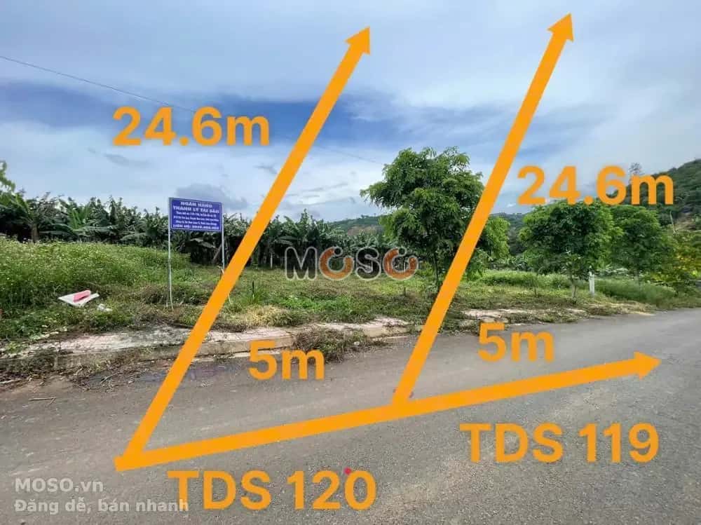 Bán đất Huyện Bảo Lâm, Lâm Đồng – giá 315 triệu - ảnh 2