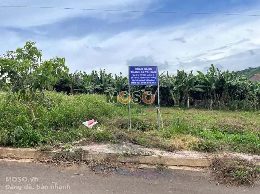 Bán đất Huyện Bảo Lâm, Lâm Đồng – giá 315 triệu - ảnh 4