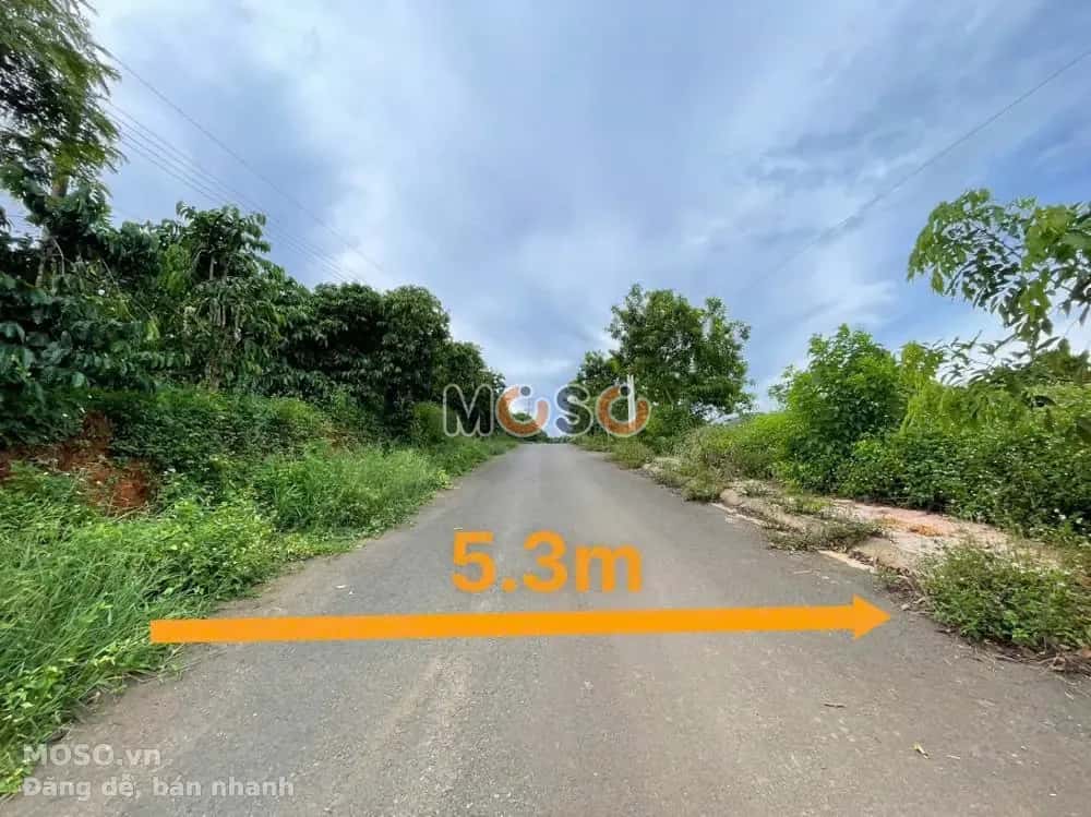 Bán đất Huyện Bảo Lâm, Lâm Đồng – giá 316 triệu - ảnh 3