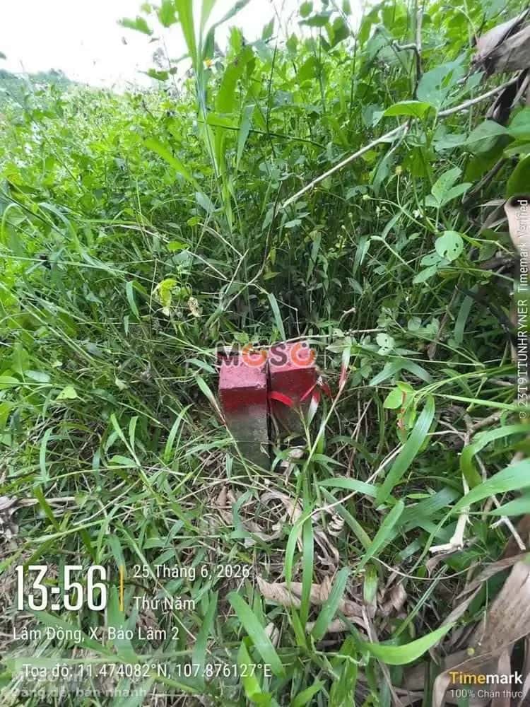 Bán đất Huyện Bảo Lâm, Lâm Đồng – giá 315 triệu - ảnh 6