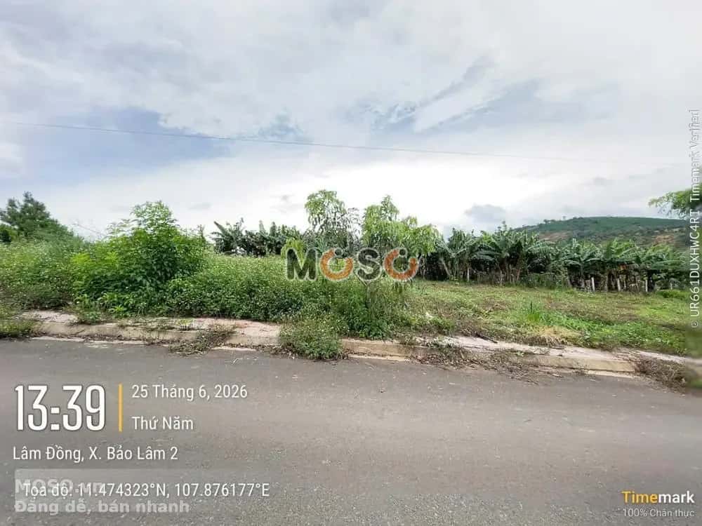 Bán đất Huyện Bảo Lâm, Lâm Đồng – giá 316 triệu - ảnh 5