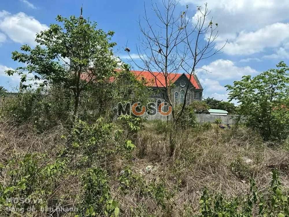 Bán đất Huyện Trảng Bom, Đồng Nai – giá 1 tỷ - ảnh 4