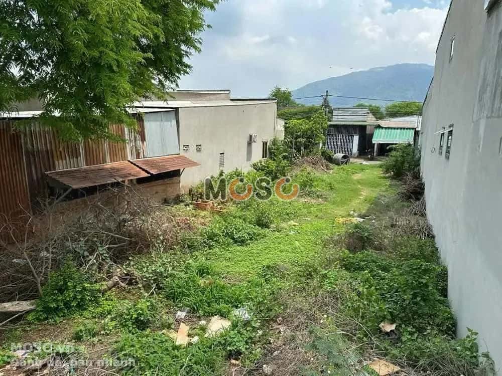 Bán đất Trịnh Hoài Đức Huyện Xuân Lộc, Đồng Nai – giá 2.1 tỷ - ảnh 4