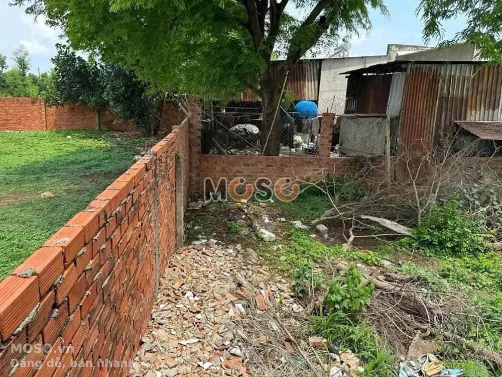 Bán đất Trịnh Hoài Đức Huyện Xuân Lộc, Đồng Nai – giá 2.1 tỷ - ảnh 5