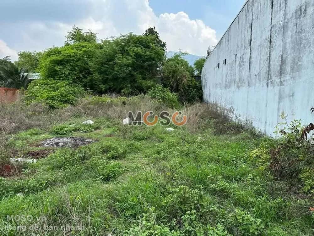 Bán đất Trịnh Hoài Đức Huyện Xuân Lộc, Đồng Nai – giá 1.6 tỷ - ảnh 3