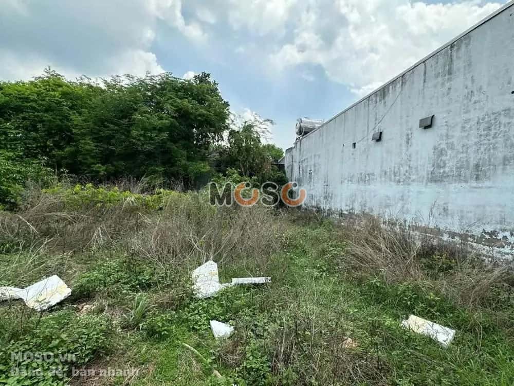 Bán đất Trịnh Hoài Đức Huyện Xuân Lộc, Đồng Nai – giá 1.6 tỷ - ảnh 5