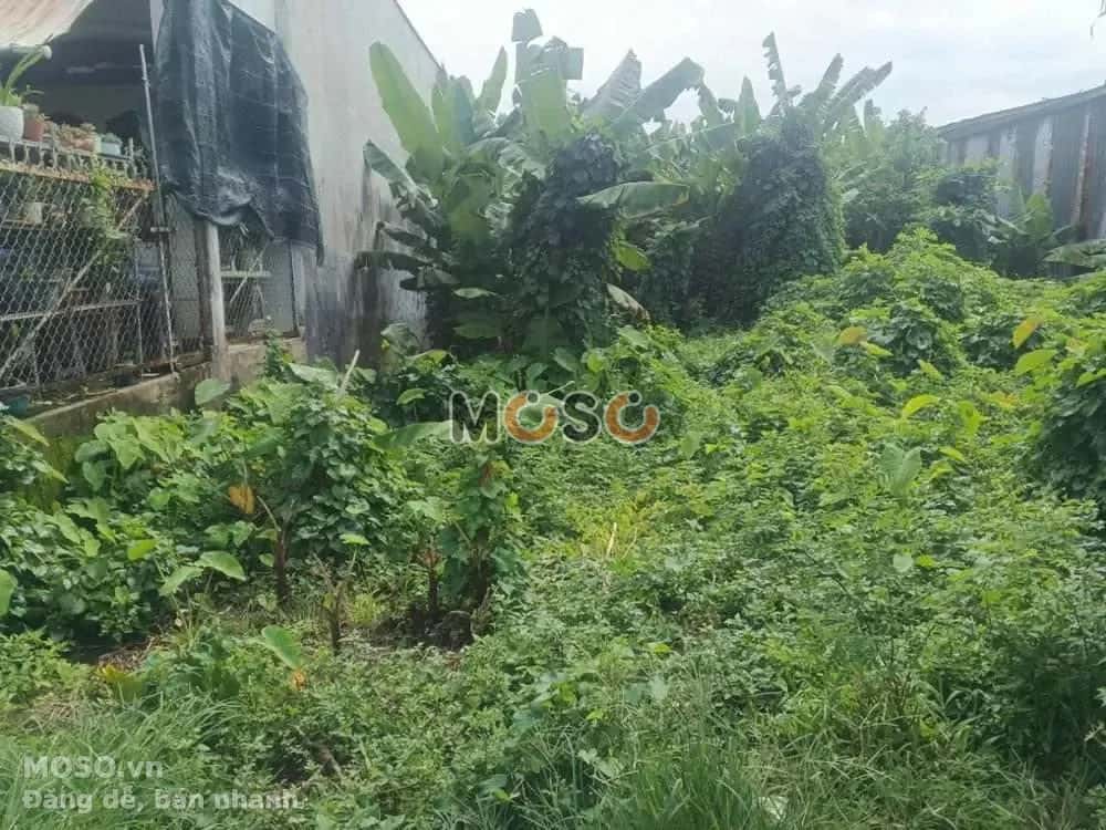 Bán đất Nguyễn Xiển Thành phố Thủ Đức, TP.HCM – giá 3.2 tỷ - ảnh 5